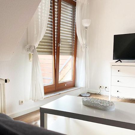 Schoenes 1 Zimmer Apartment Mit Dachterrasse Glauchau Eksteriør billede