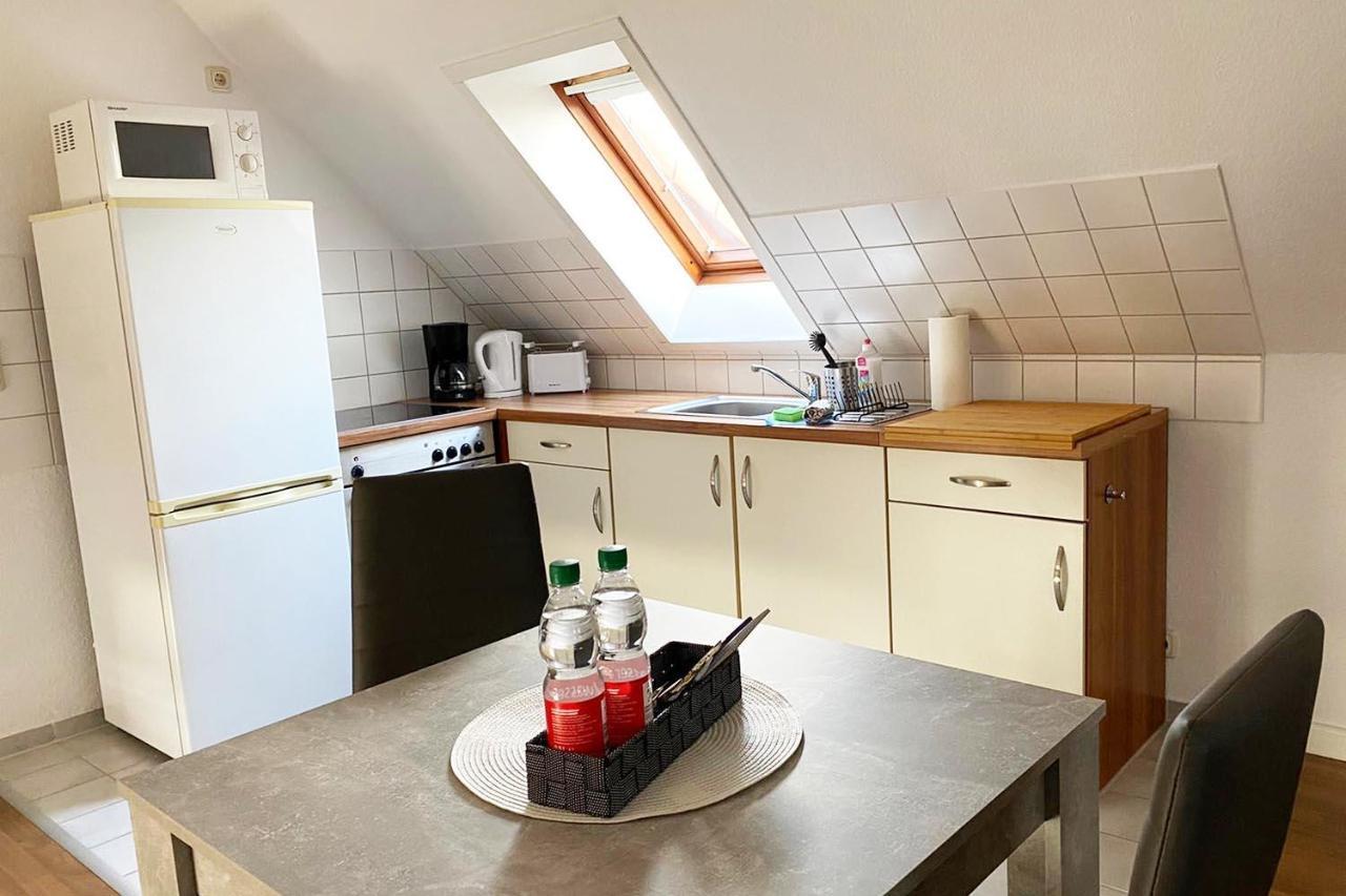 Schoenes 1 Zimmer Apartment Mit Dachterrasse Glauchau Eksteriør billede